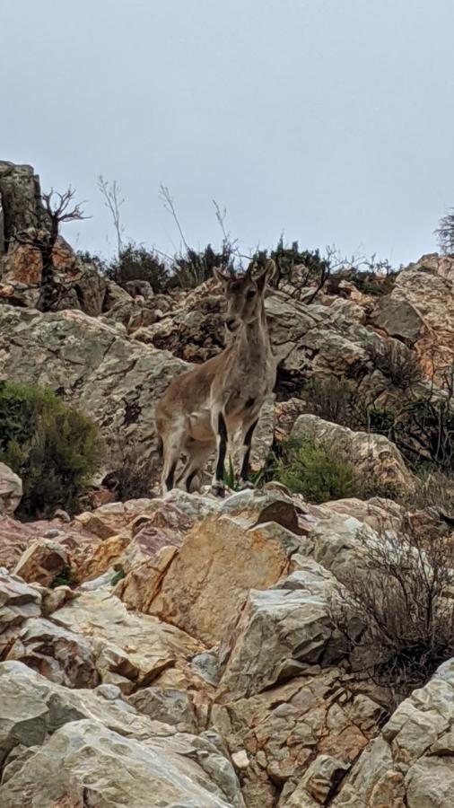 Salobre Casa Rustica De Pueblo En Sierra De Alcaraz别墅 外观 照片